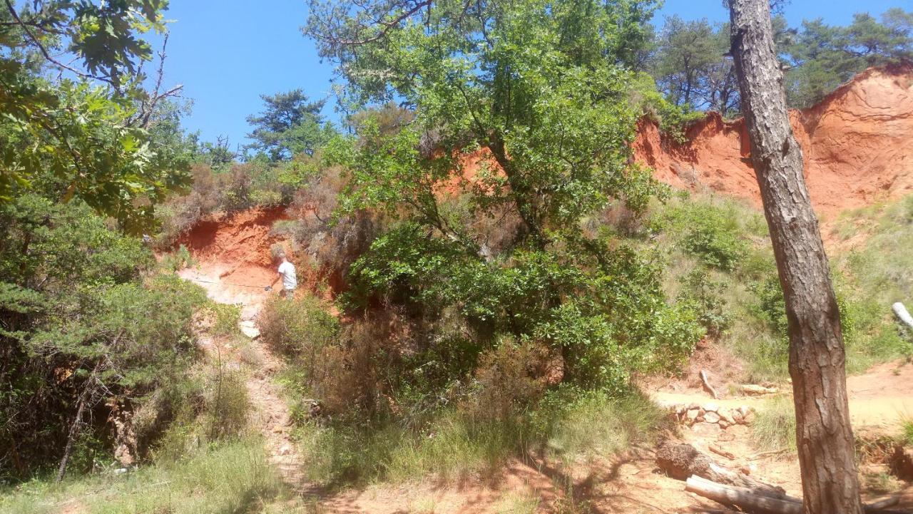 Gite Provence Luberon -Paca- Acces Pmr-Ancv Revest-des-Brousses Exterior foto